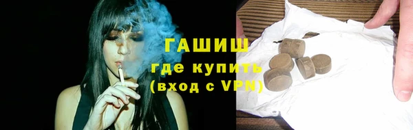стаф Алзамай
