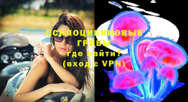 стаф Алзамай