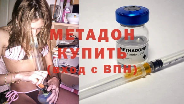 стаф Алзамай