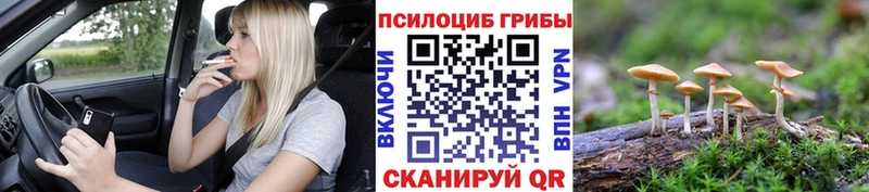 цена наркотик  Курск  Галлюциногенные грибы MAGIC MUSHROOMS 